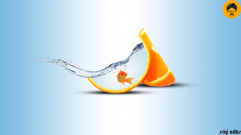Goldfish in Orange Slice — Blue, Playful