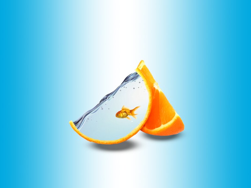 Goldfish in Orange Slice — Blue, Serene