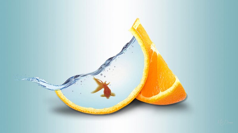 Goldfish in Orange Slice — Blue