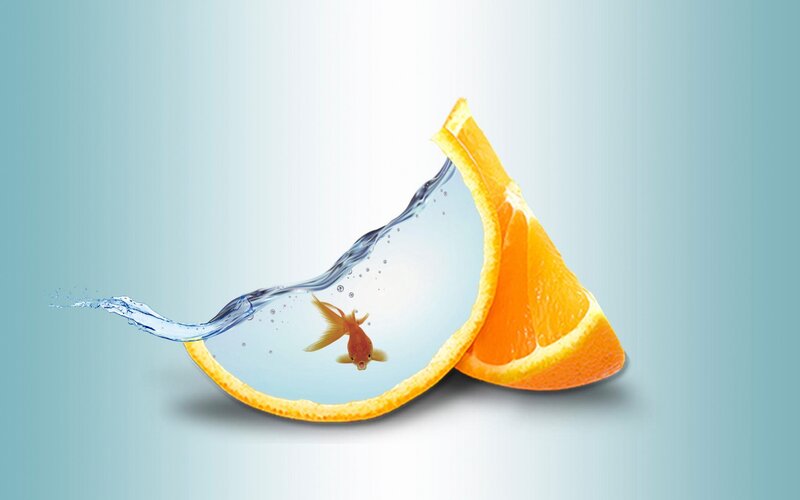 Goldfish in Orange Slice