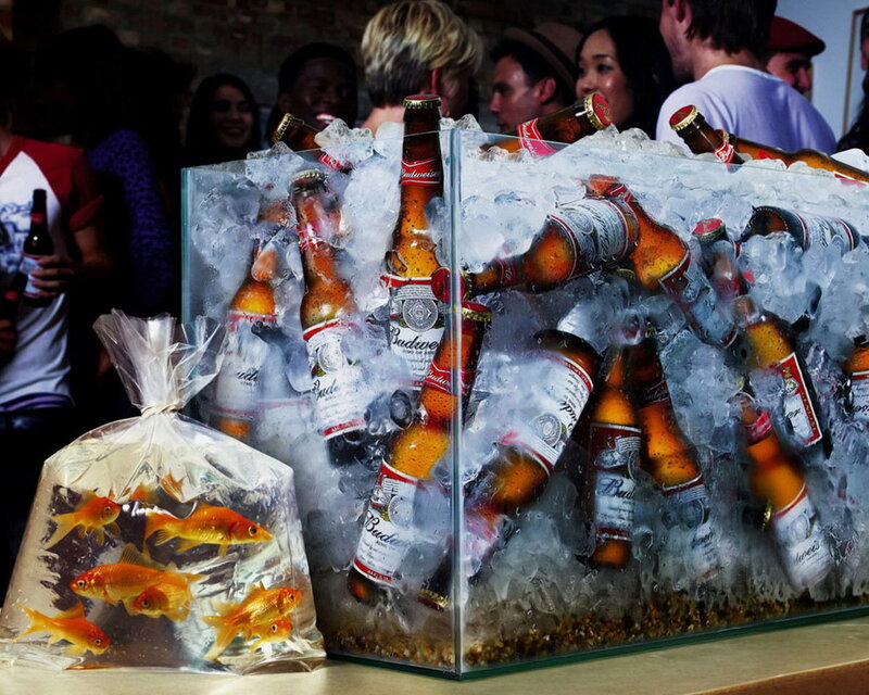 Goldfish in Plastic Bag