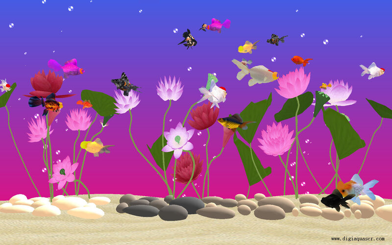 Goldfish in Pond — Purple