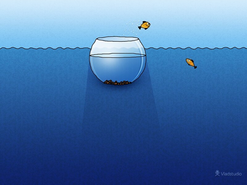 Goldfish in Water — Blue, Calm