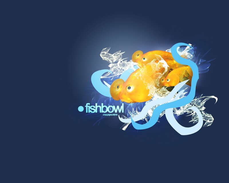 Goldfish in Water