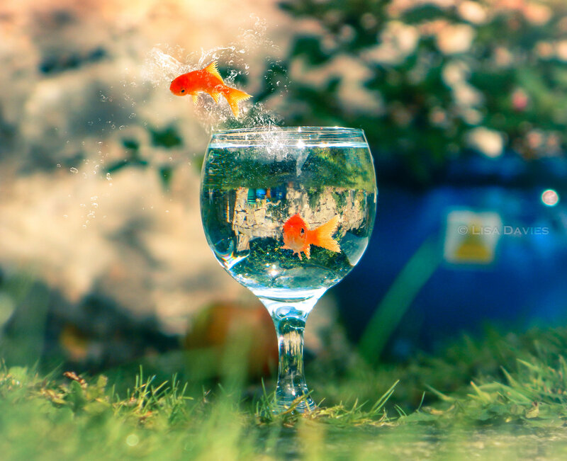 Goldfish in Wine Glass — Green