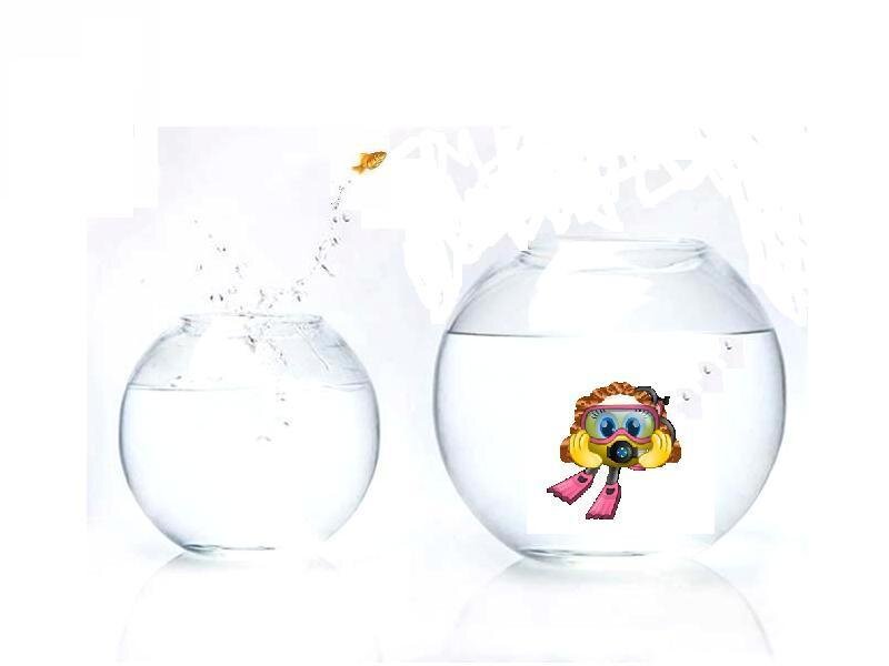goldfish jumping between bowls