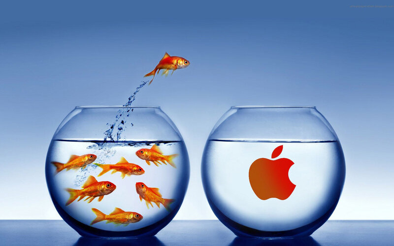 Goldfish Jumping Between Bowls — Blue, Dramatic