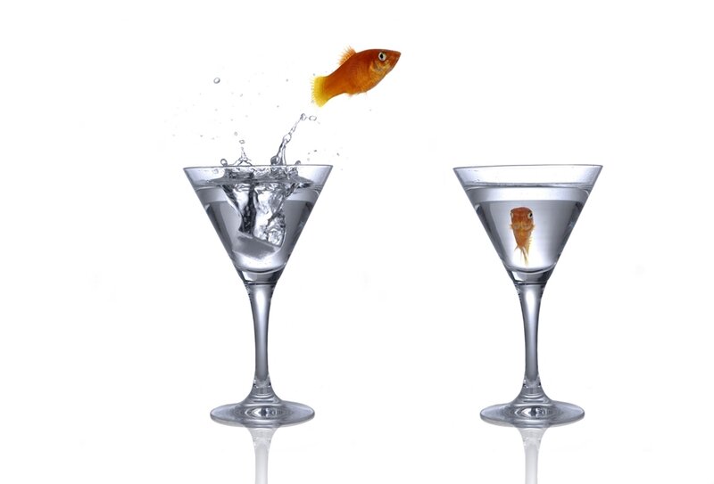 goldfish jumping between glasses