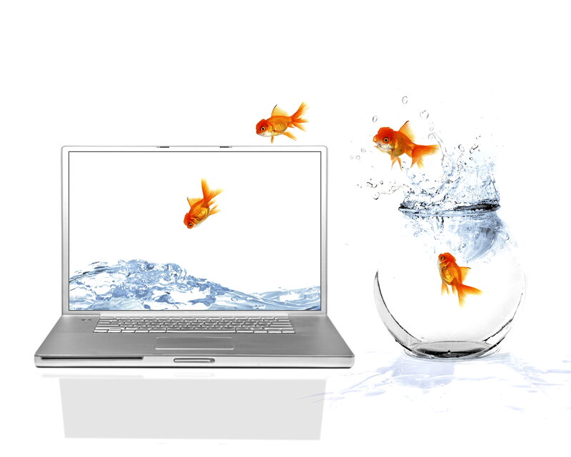 Goldfish Jumping from Bowl