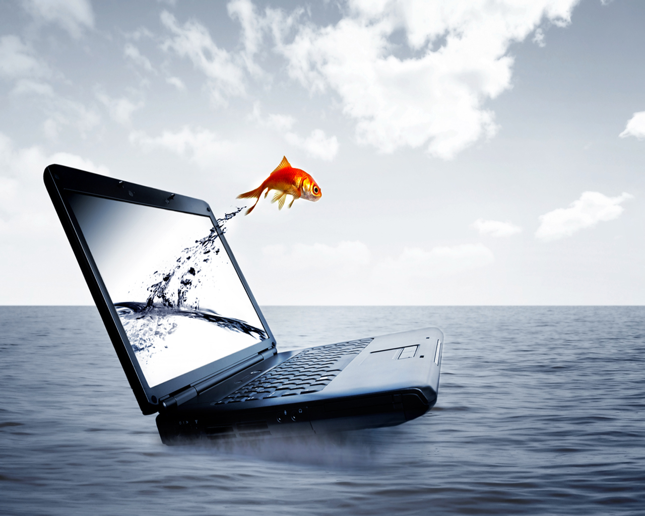 goldfish jumping from laptop