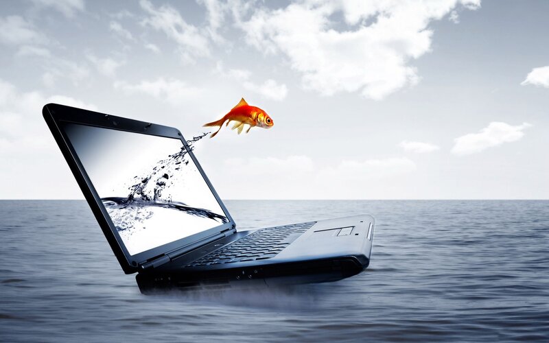 Goldfish Jumping from Laptop — Blue, Surreal, Afternoon
