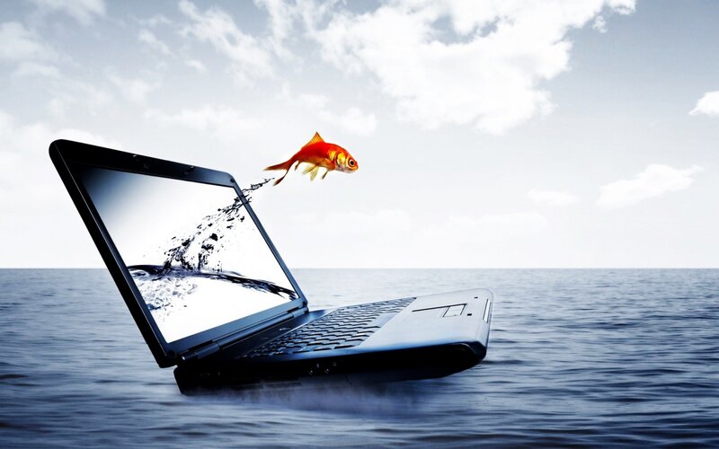 Goldfish Jumping from Laptop — Blue, Surreal, Digital Art