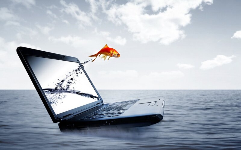 Goldfish Jumping from Laptop — Blue, Surreal