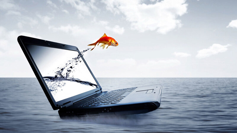 Goldfish Jumping from Laptop — Blue