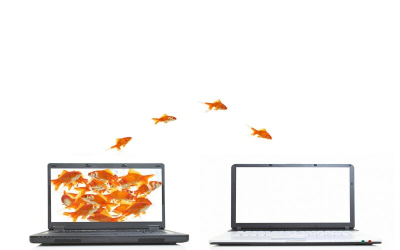 Goldfish Jumping from Laptop — White