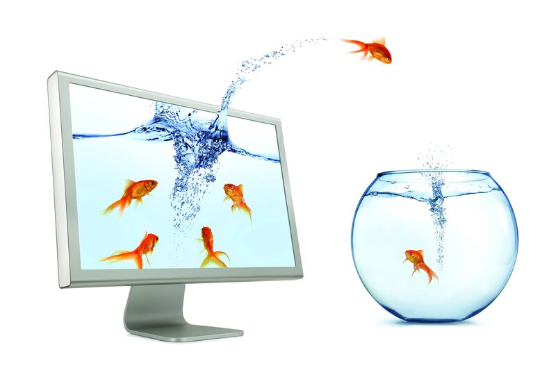 Goldfish Jumping from Screen