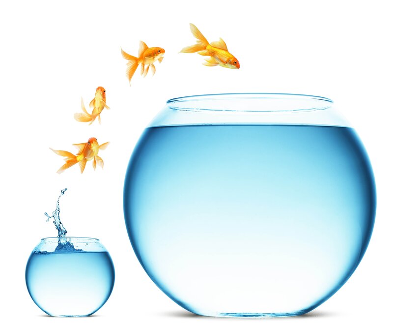 Goldfish Jumping Out — Blue, Playful