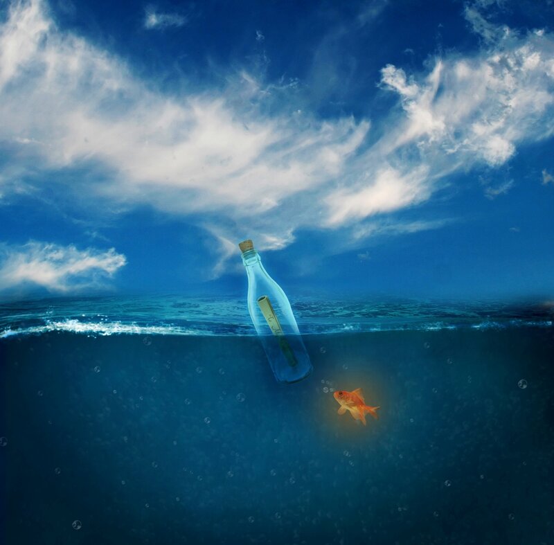 Goldfish Near Bottle