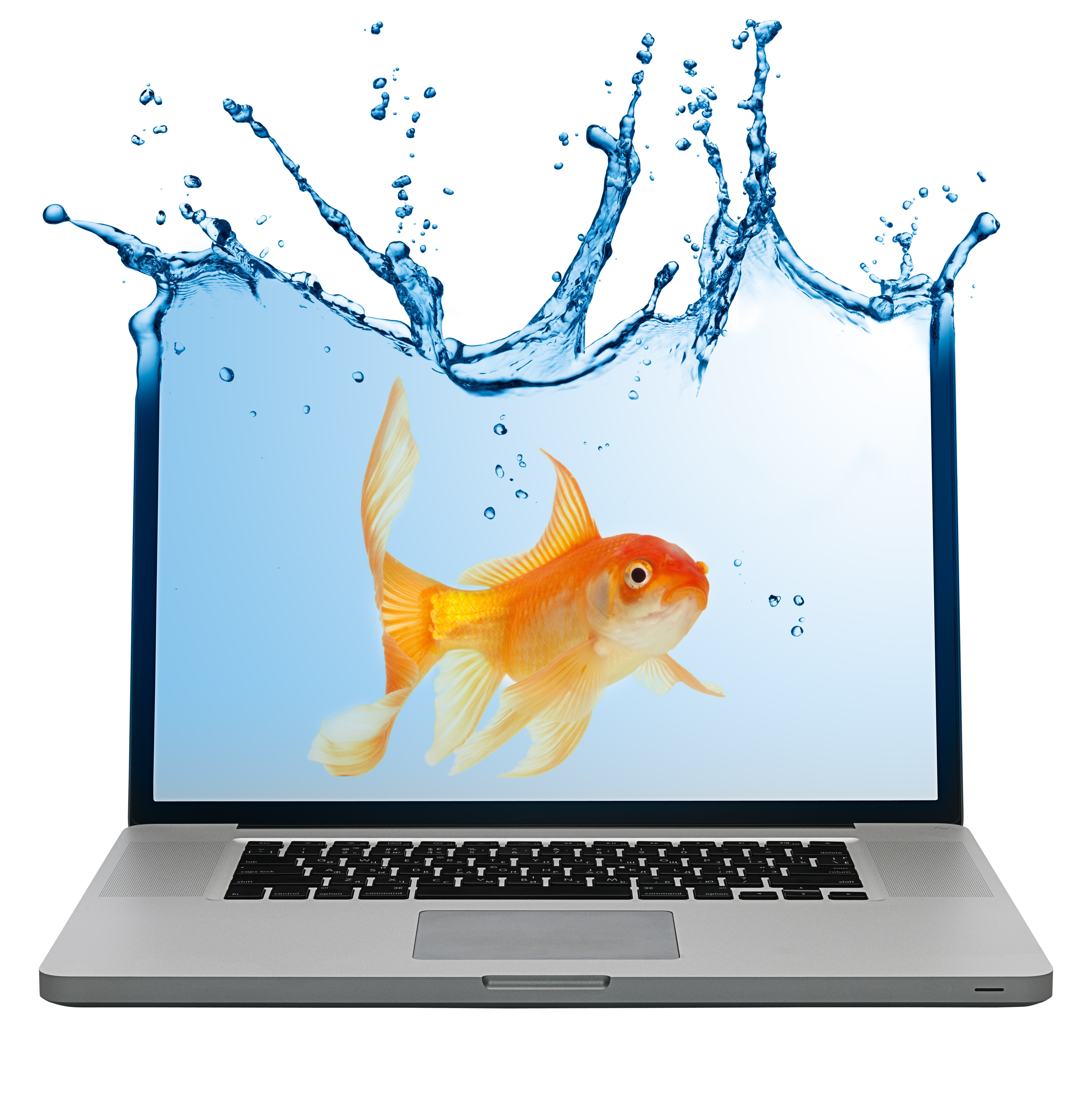 goldfish splashing on laptop
