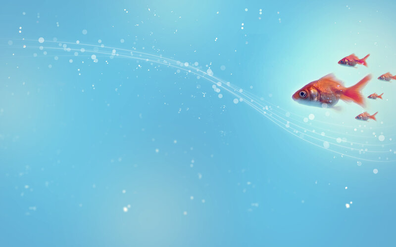 Goldfish Swimming in Water — Blue