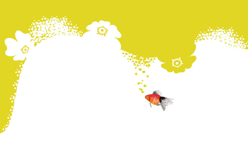 Goldfish Swimming in Water — Yellow