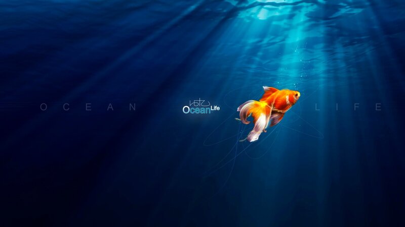 Goldfish Swimming Underwater — Blue