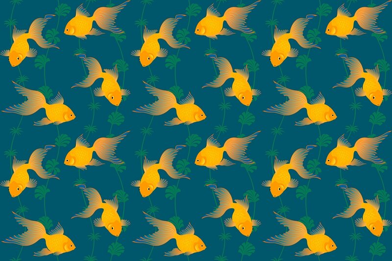 Goldfish Swimming — Yellow