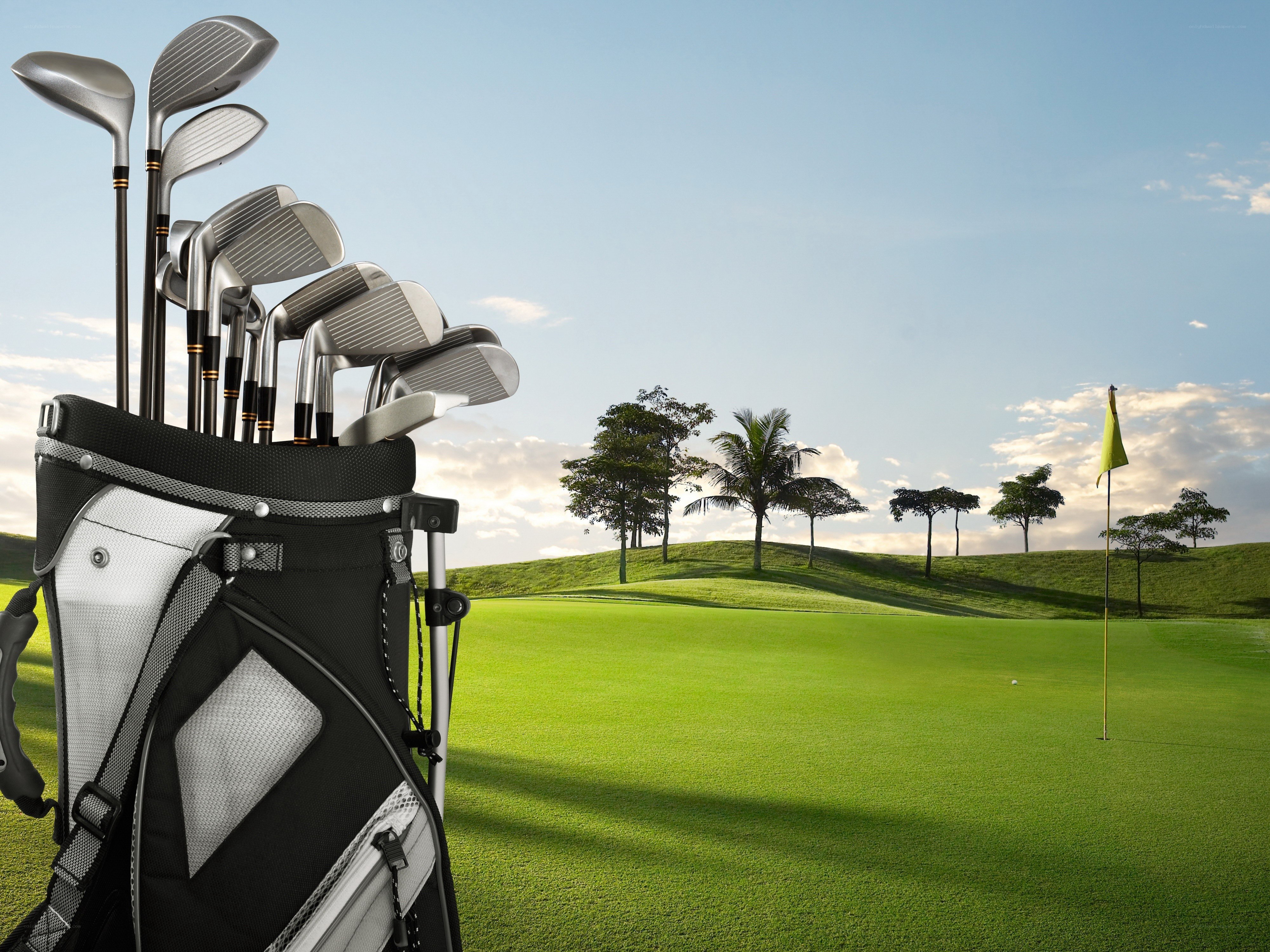 Golf bag on a sunny course