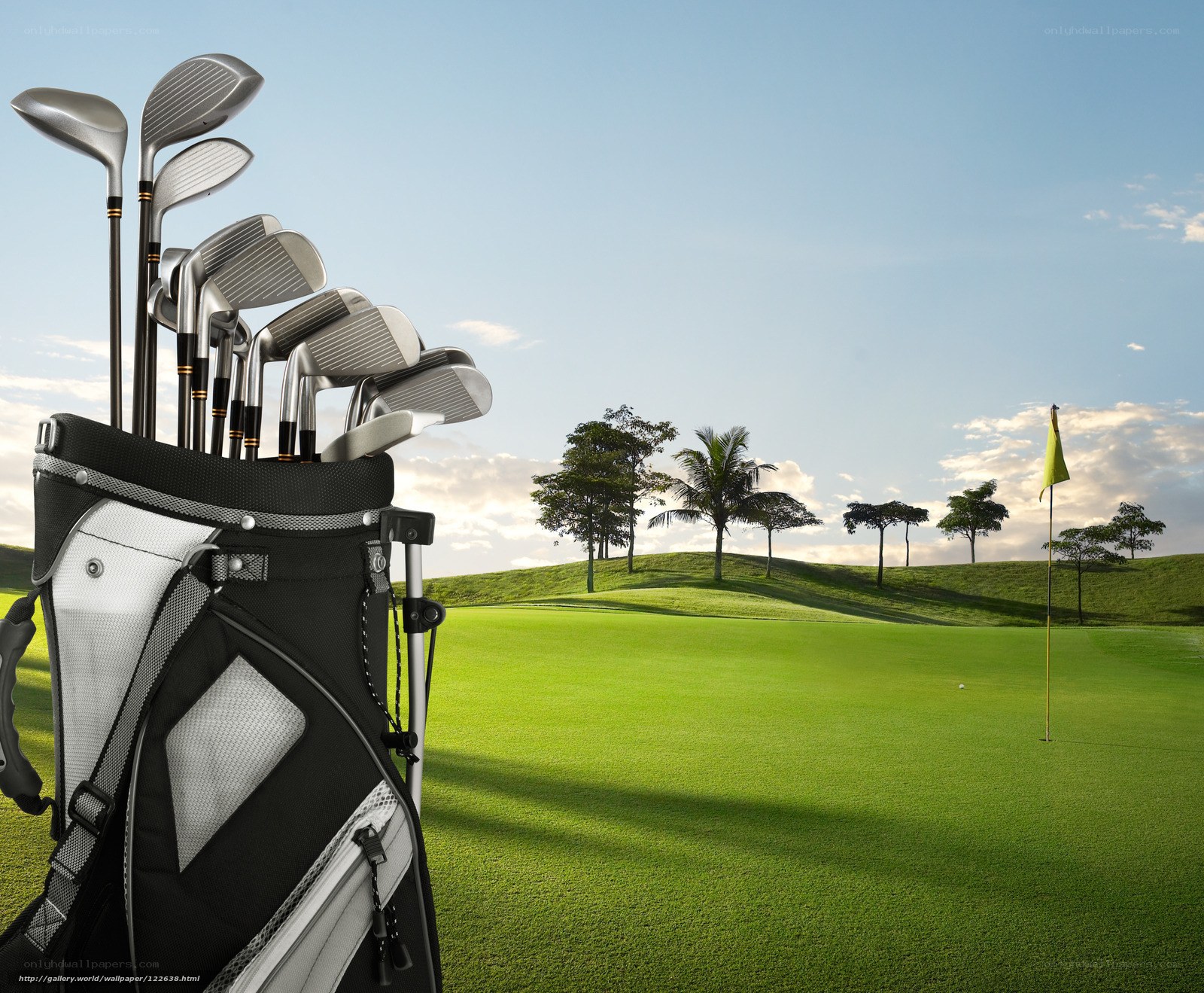 Golf bag on a sunny course