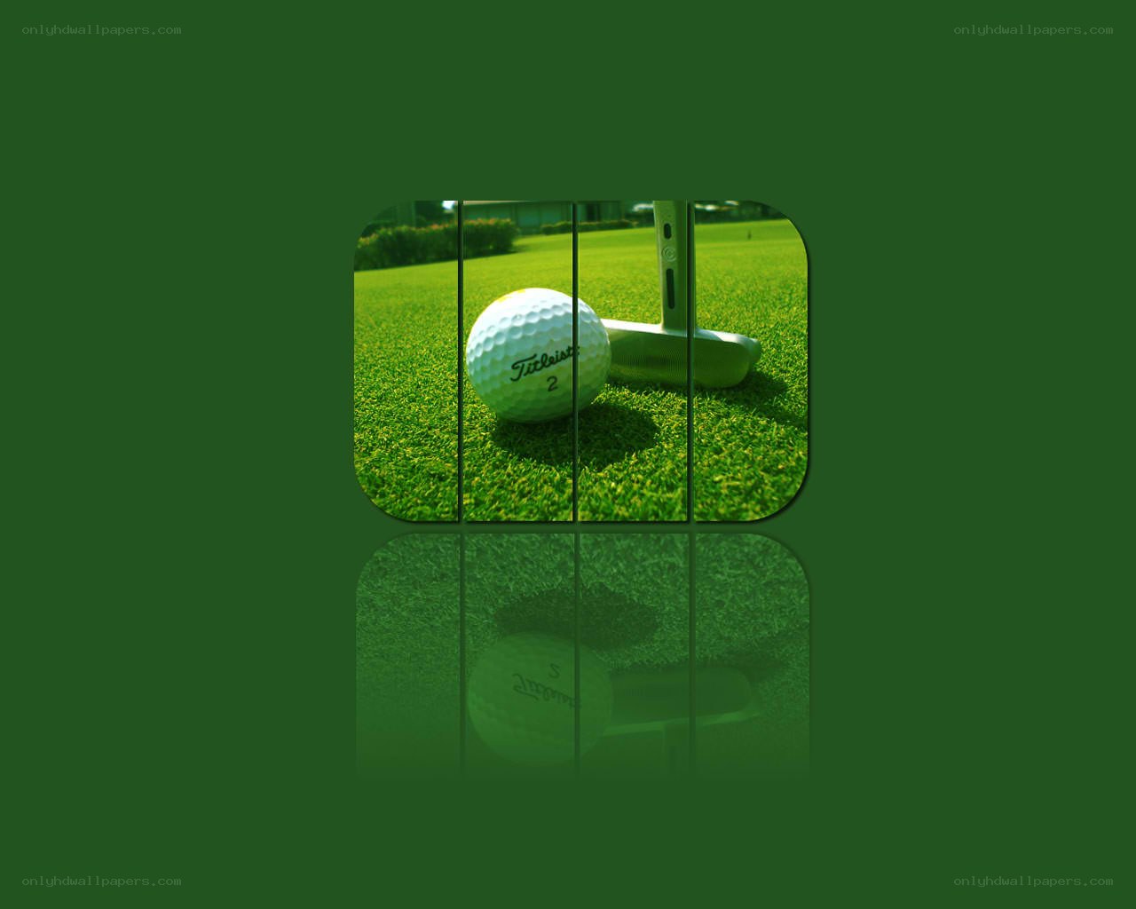 golf ball and putter on green