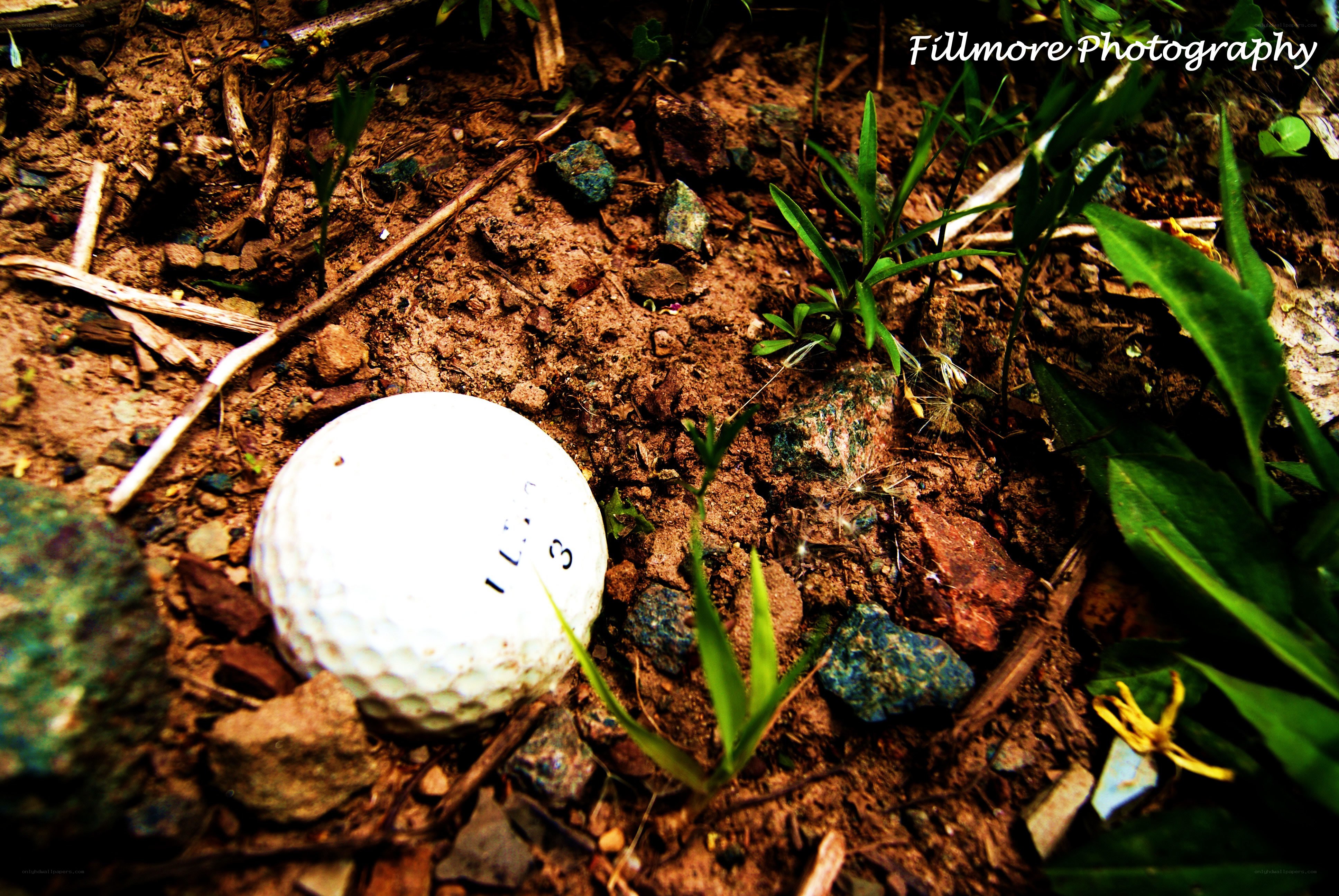 Golf ball in dirt