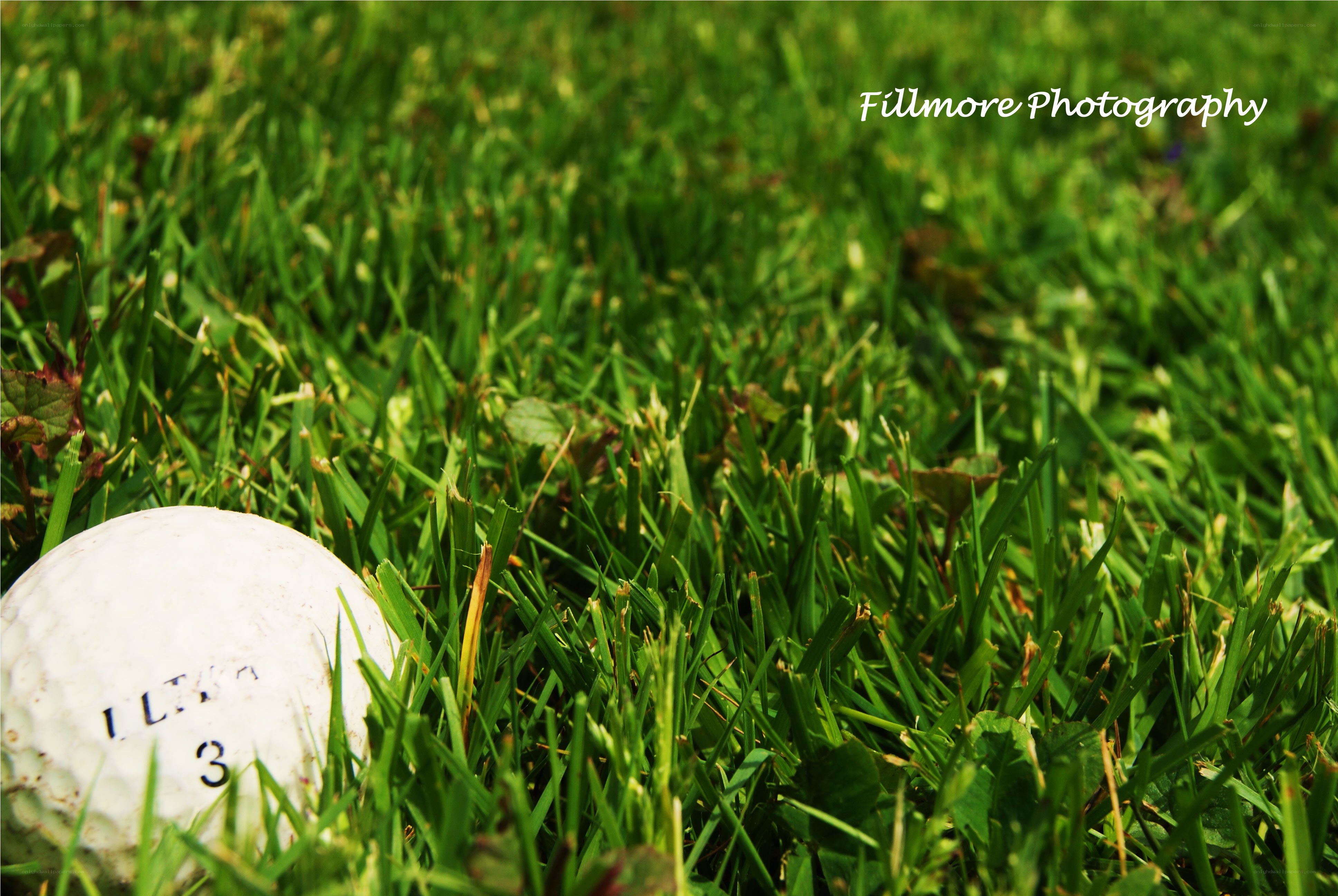golf ball in grass