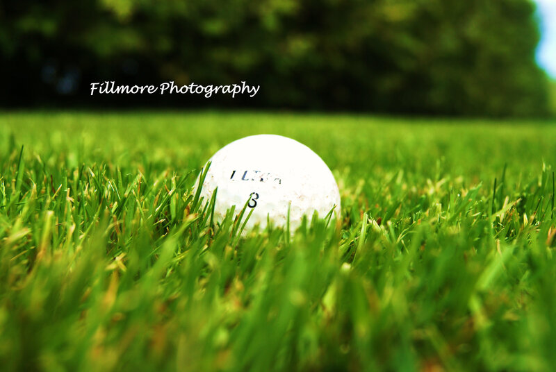 golf ball in grass