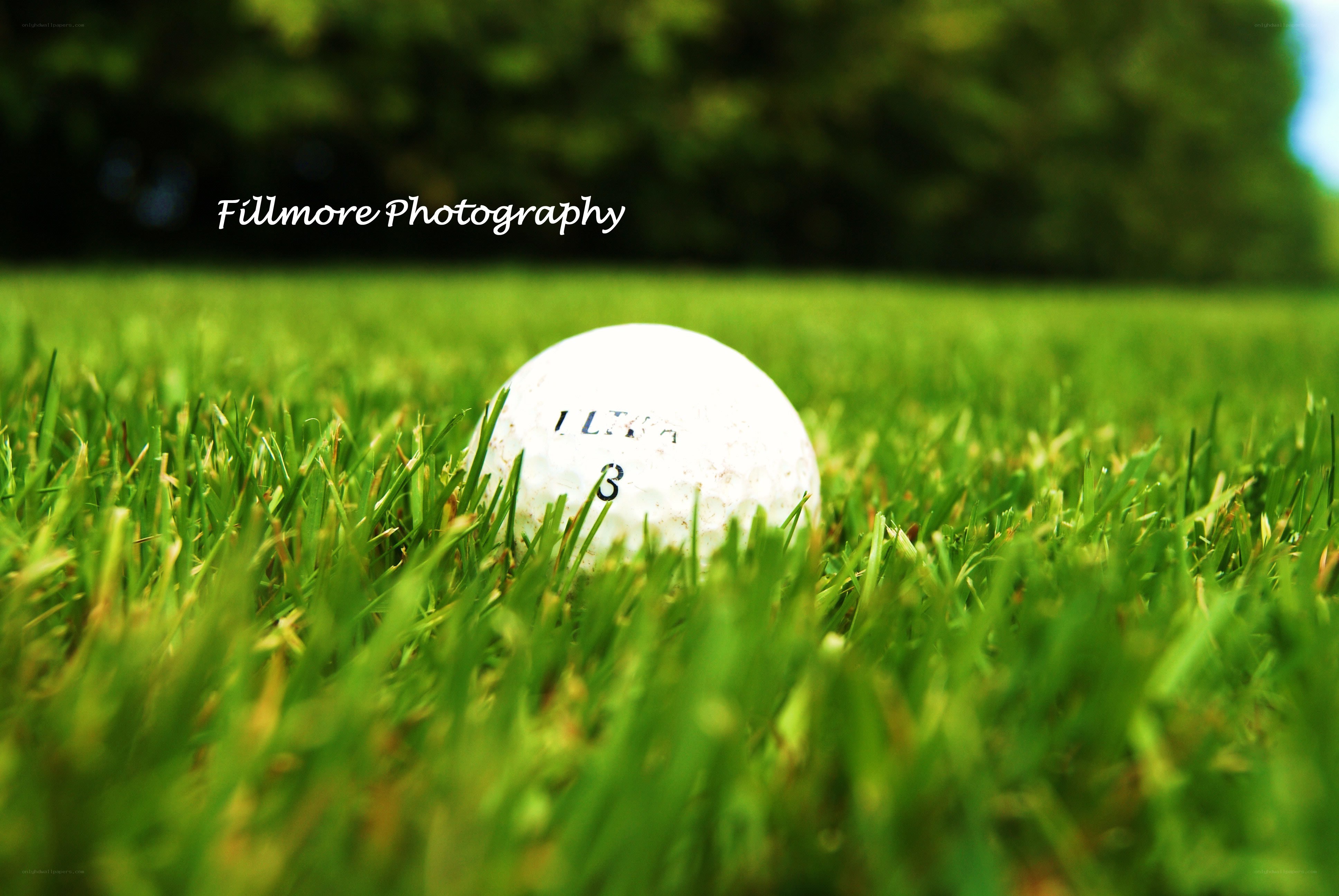 golf ball in grass