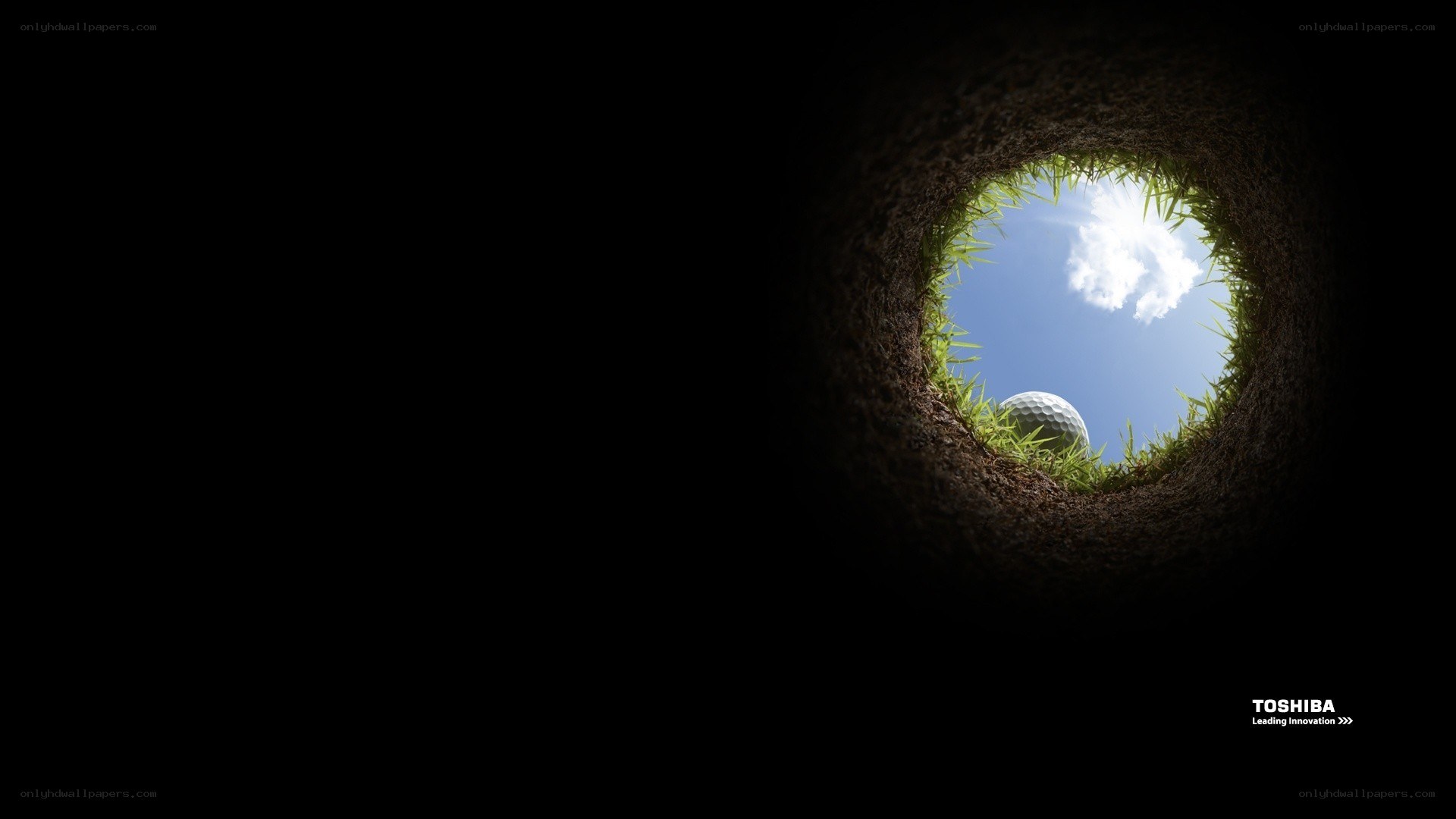 golf ball in hole view