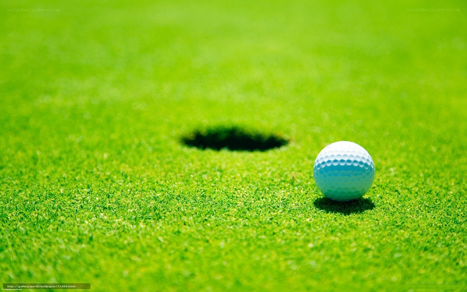 Golf ball near hole on green