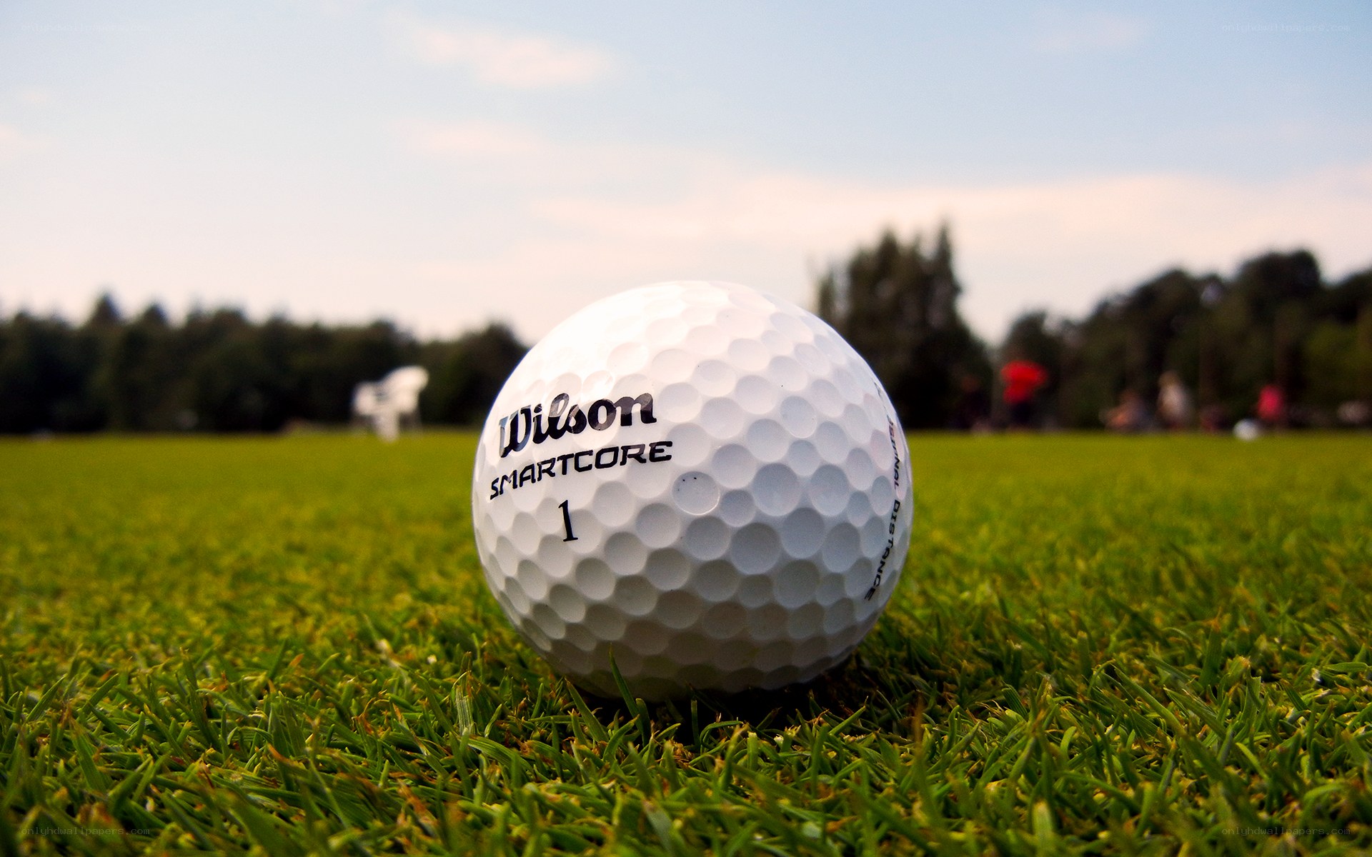 Golf ball on a green