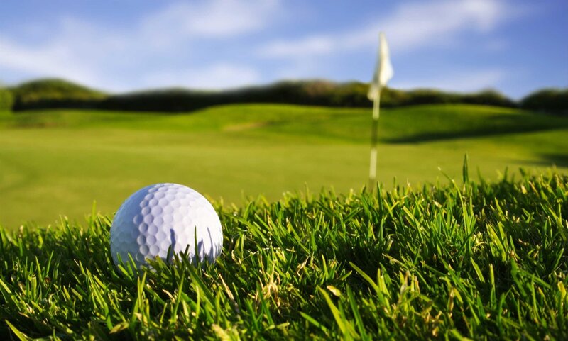 Golf Ball on Green — Serene, Afternoon