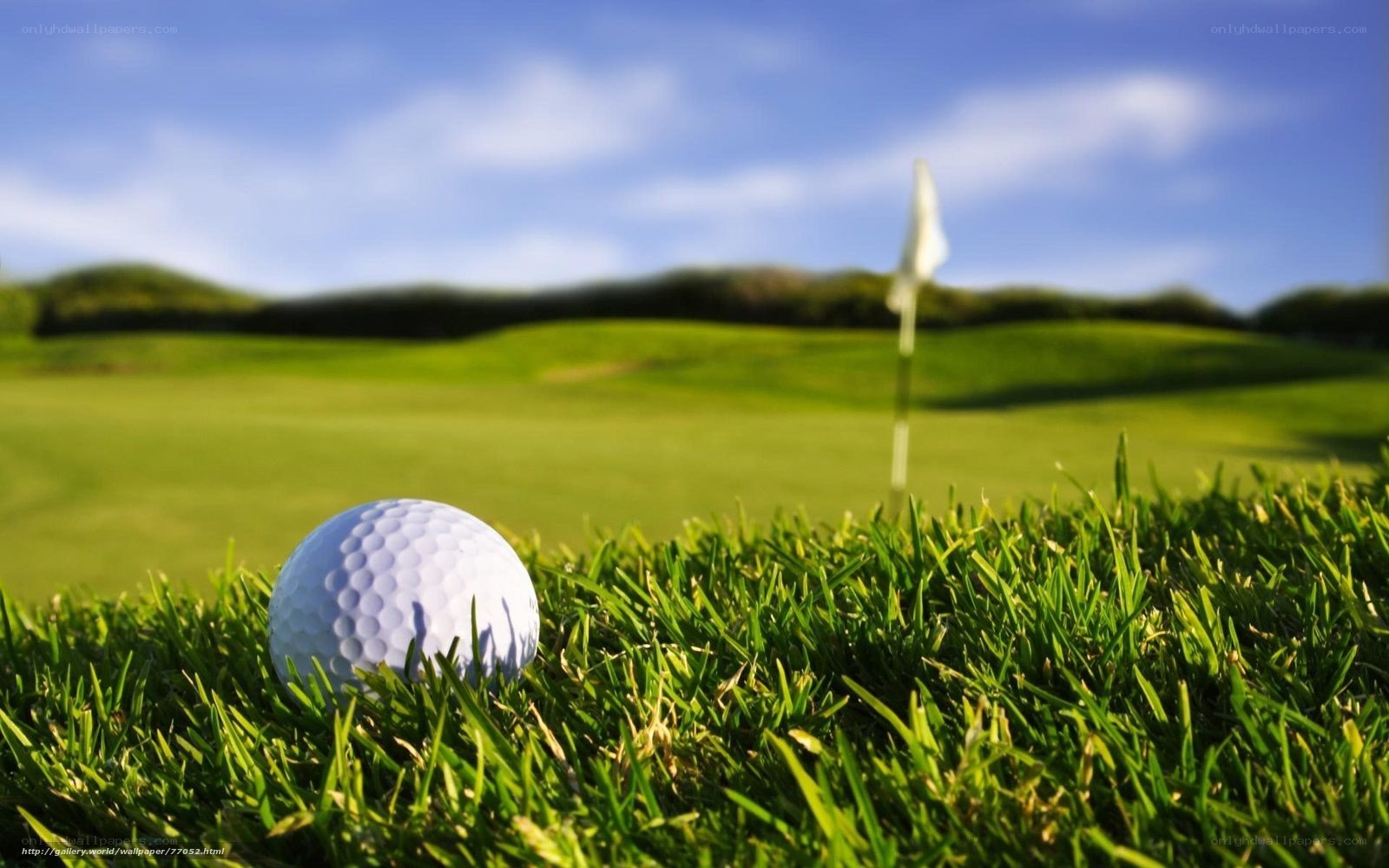 Golf ball on green with flag