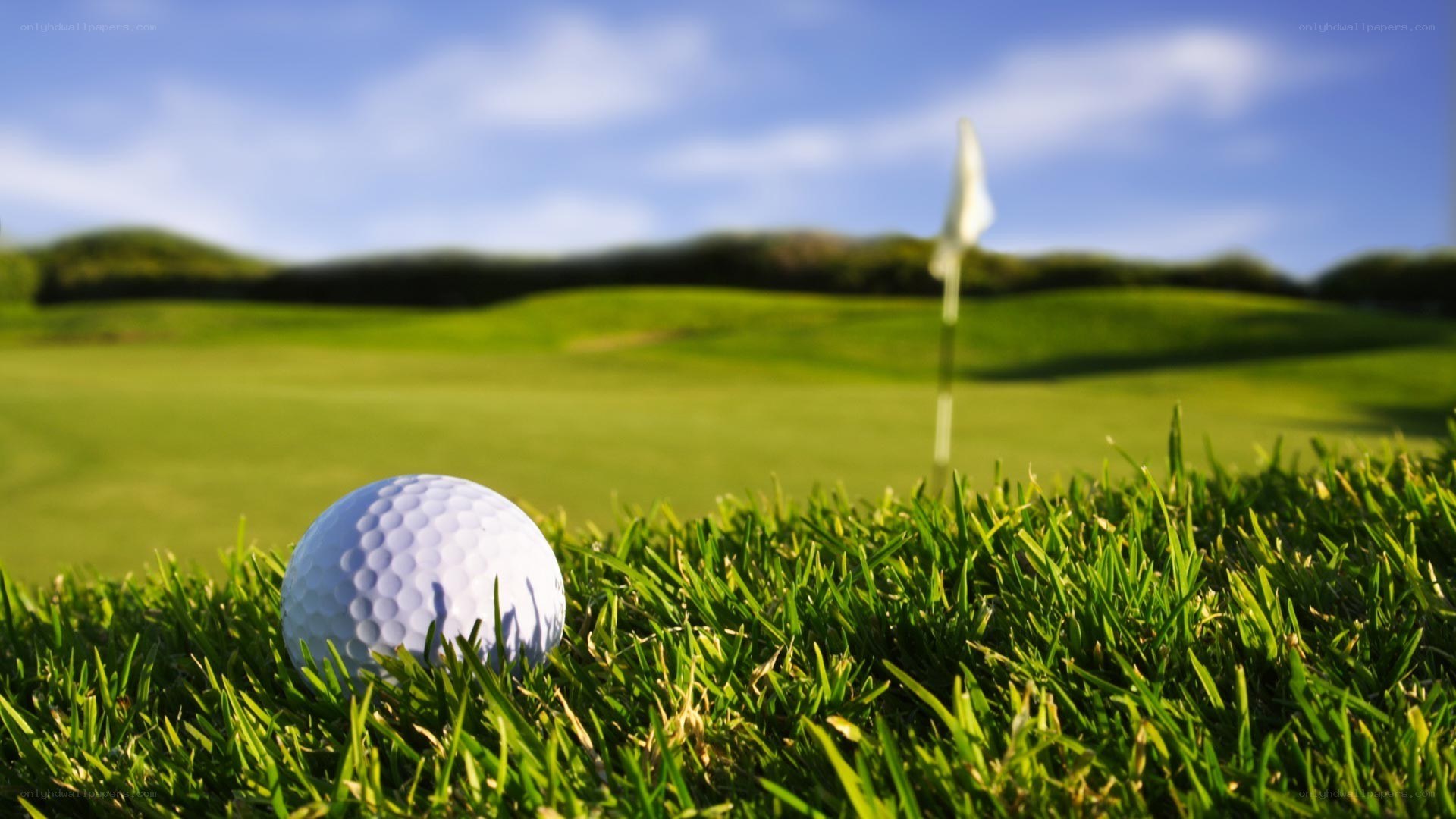 golf ball on green