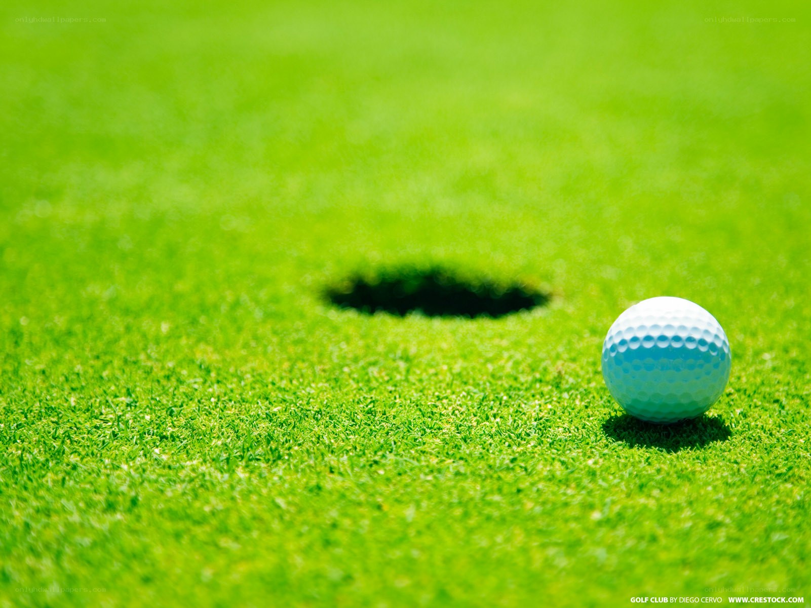 Golf ball on putting green