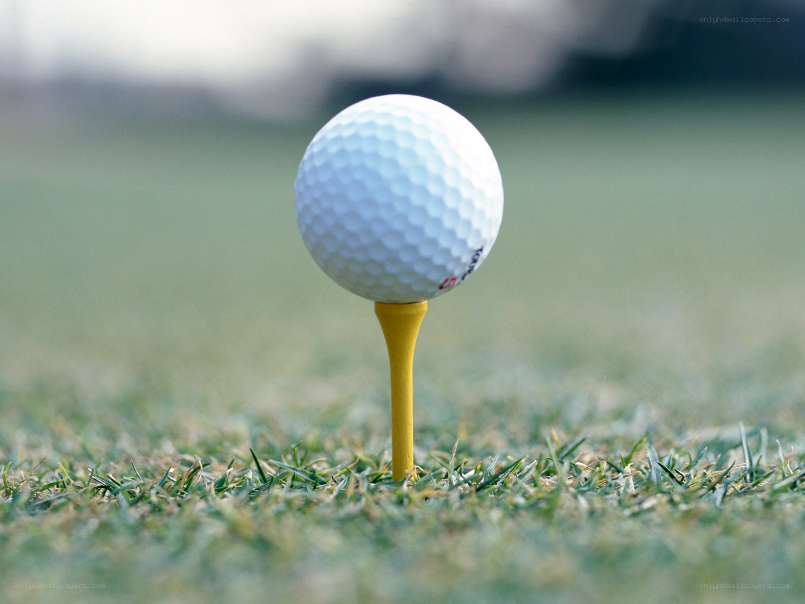 golf ball on tee