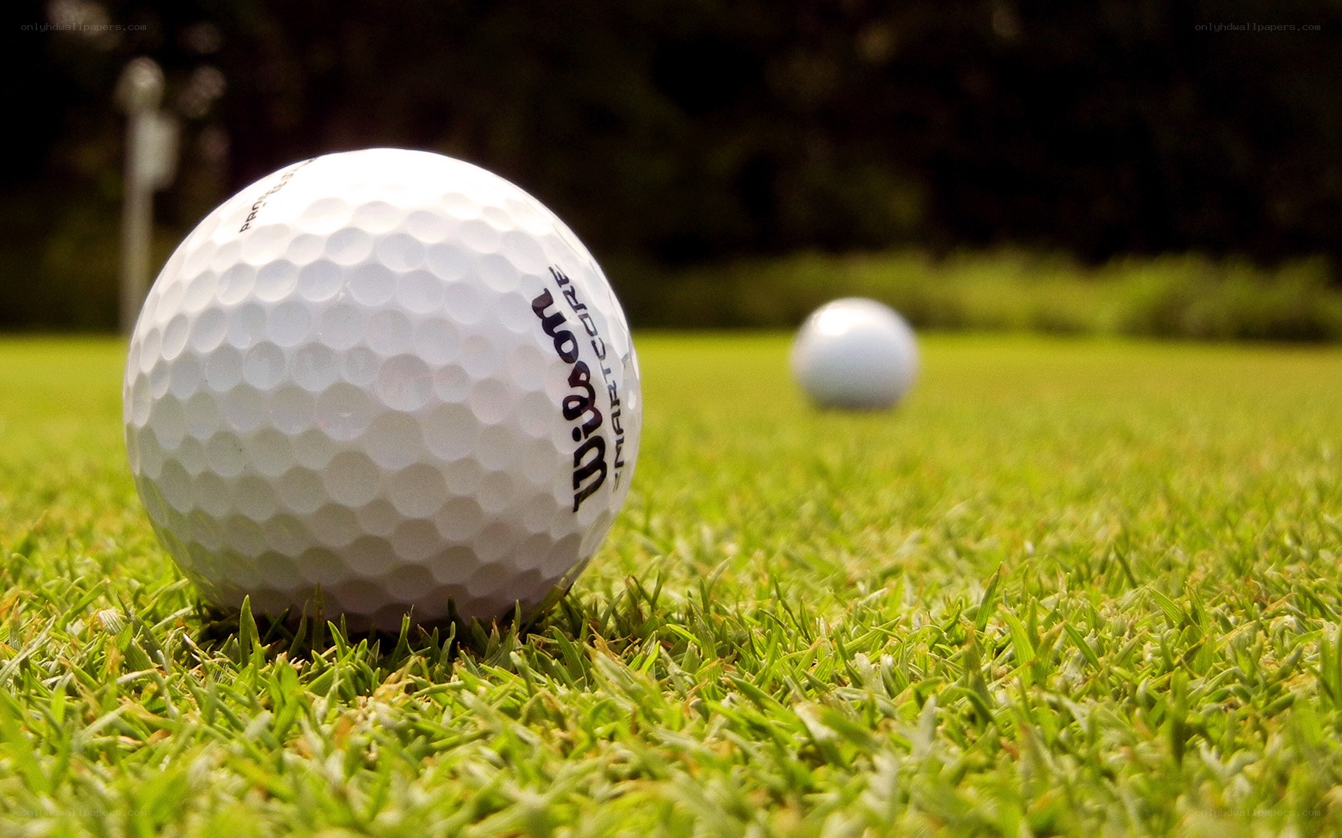 Golf balls on a green