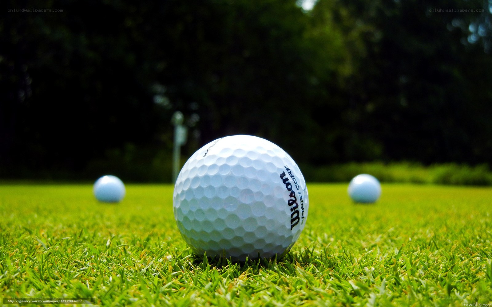 Golf balls on a green