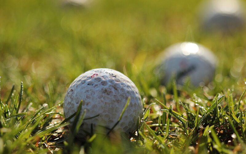 Golf balls on grass in sunlight