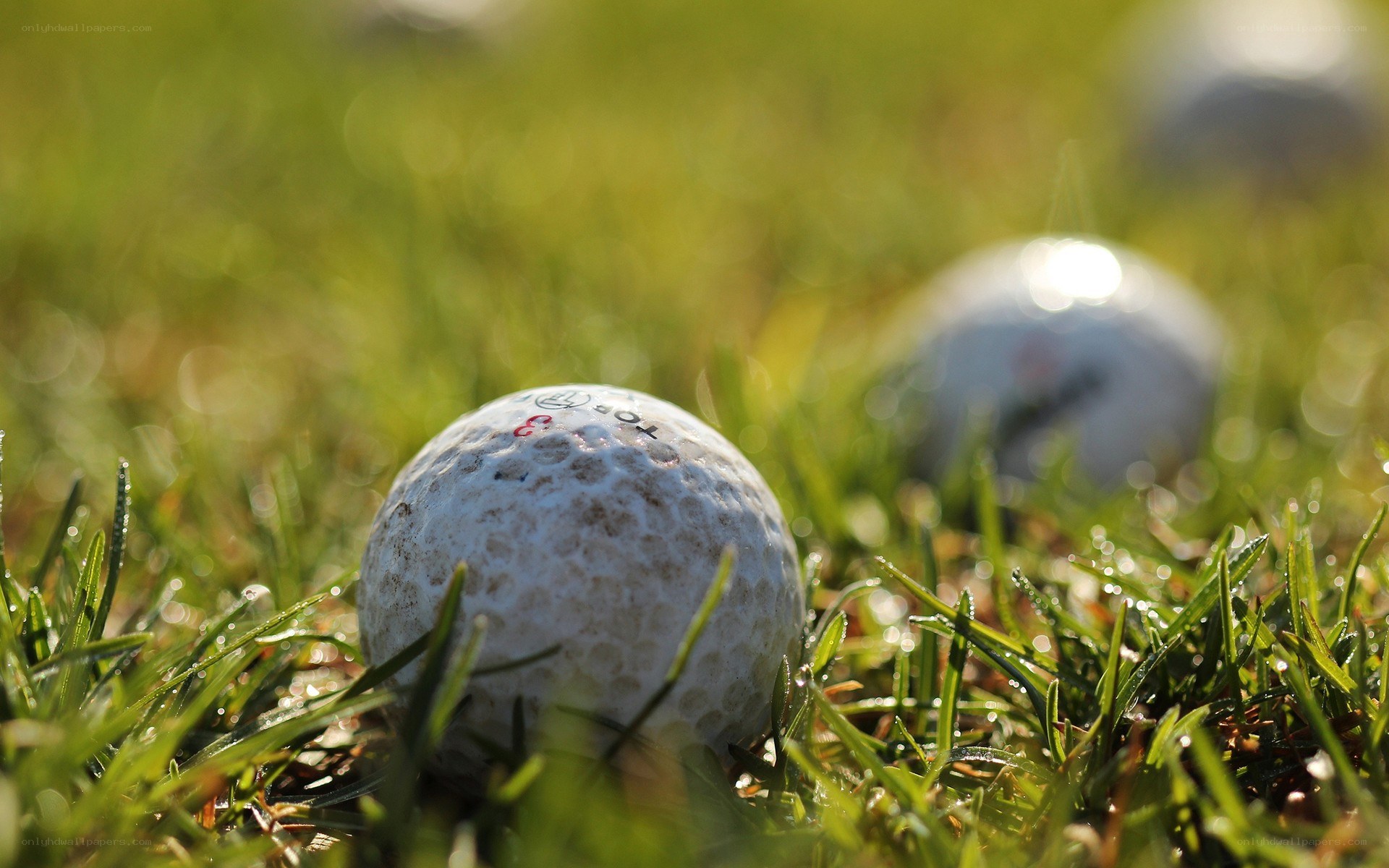 Golf balls on grass in sunlight