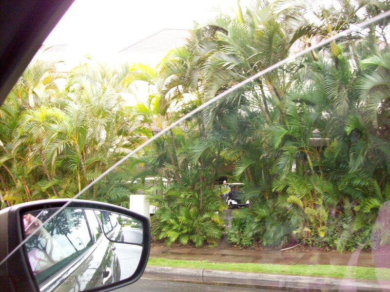 Golf Cart in Foliage