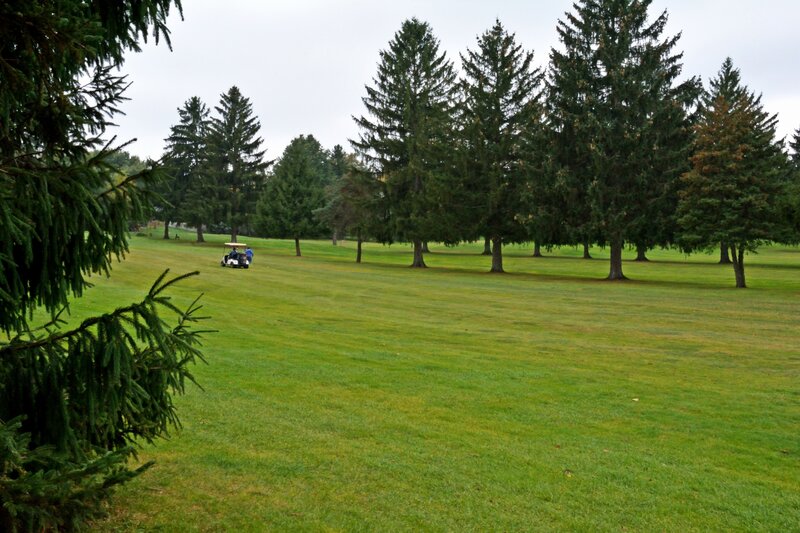 Golf Cart on Fairway