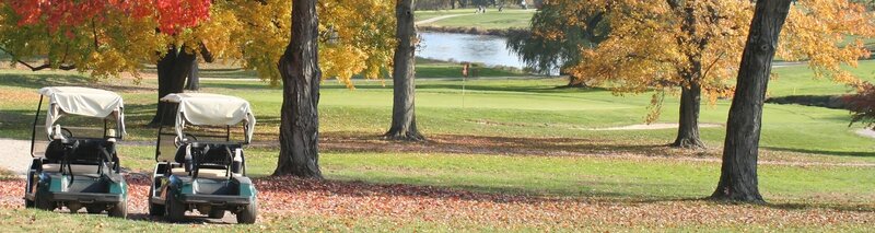 Golf Carts on Course