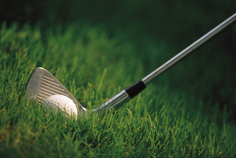 Golf club and ball on grass
